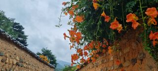 템즈님의 자유주제 · 사진전 작성글 사진