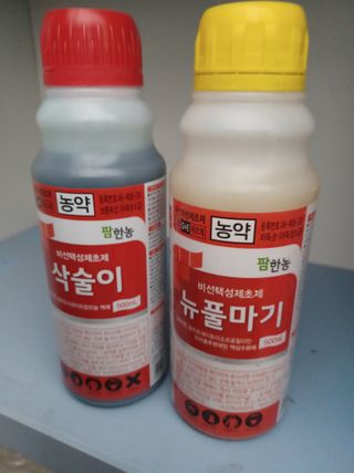 팜모닝회원 김순달 님의 감자 · 자유게시판 작성글 사진