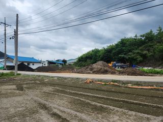 창이님의 마늘 · 영농일지 작성글 사진