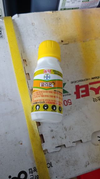 보물섬남자님의 최고의 제초제는 무엇인가요? · 참여 작성글 사진