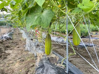 원영님의 자유주제 · 자유게시판 작성글 사진