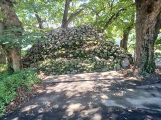 오영도님의 자유주제 · 자유게시판 작성글 사진