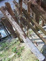 팜모닝 버섯·병해충상담 게시글 이미지