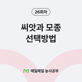 팜모닝 농사공부님의 매일매일 농사공부 · 매일매일 농사공부 작성글 사진