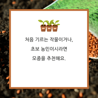 팜모닝 농사공부님의 매일매일 농사공부 · 매일매일 농사공부 작성글 사진