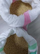 팜모닝 · 게시글 이미지