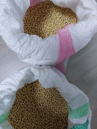 박진하님의 작성글 사진