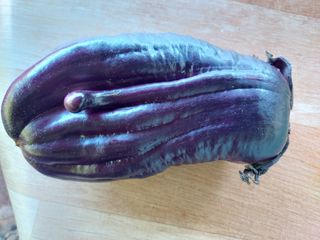 얼큰이님의 기타작물 · 자유게시판 작성글 사진