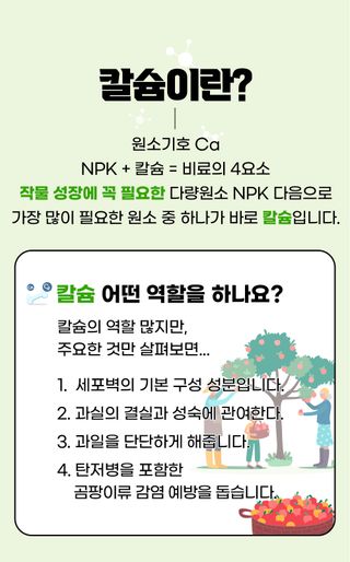 팜모닝 농자재정보님의 팜모닝공식 · 농사정보 작성글 사진