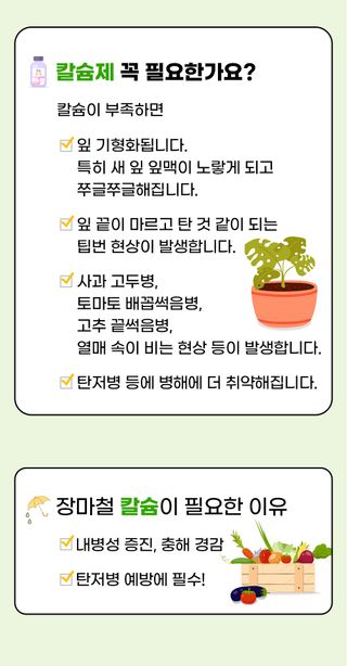 팜모닝 농자재정보님의 팜모닝공식 · 농사정보 작성글 사진