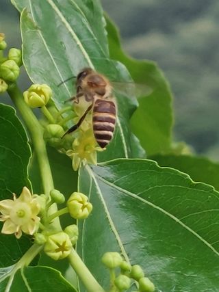 손윤영/수채화농원님의 자유주제 · 자유게시판 작성글 사진