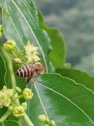 손윤영/수채화농원님의 자유주제 · 자유게시판 작성글 사진