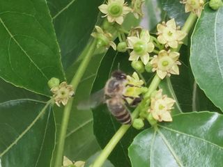 손윤영/수채화농원님의 자유주제 · 자유게시판 작성글 사진