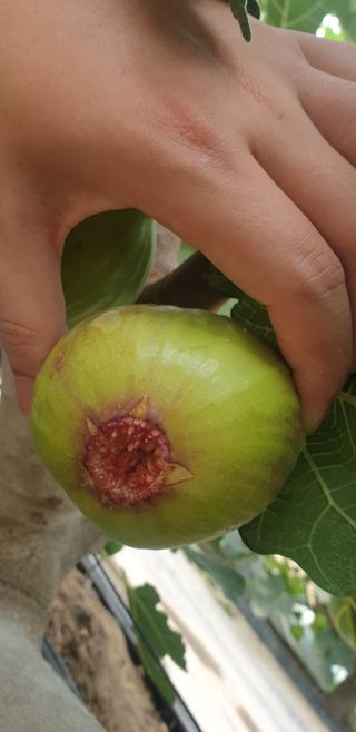 오아성님의 작성글 사진