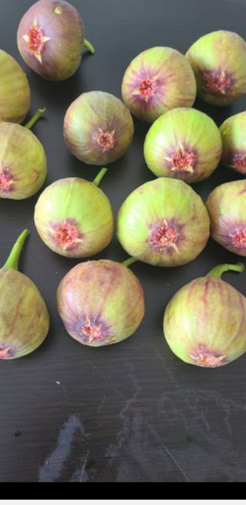 오왕건님의 장터 판매 상품 [생무화과  1.2k] 첨부 사진