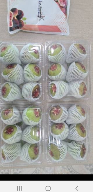 오아성님의 작성글 사진