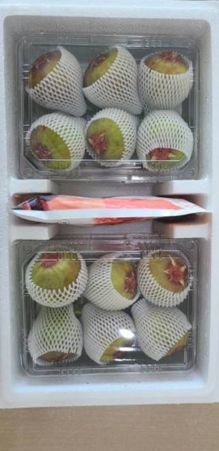 오아성님의 작성글 사진