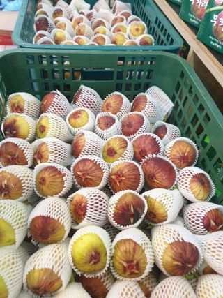 오아성님의 작성글 사진