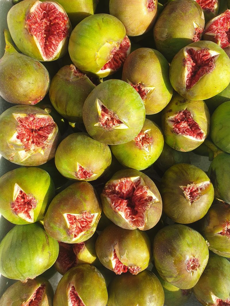 오아성님의 장터 판매 상품 [생무화과  1.2kg내외] 첨부 사진