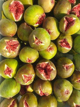 오아성님의 작성글 사진