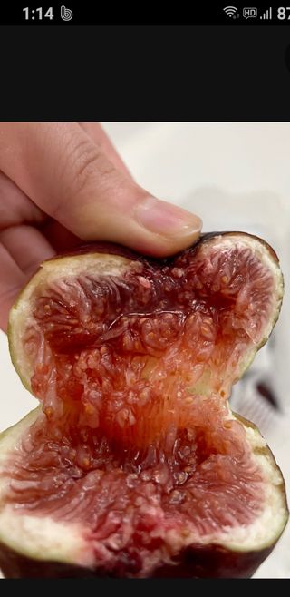 오아성님의 작성글 사진