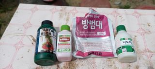 정도석 님의 복숭아 · 병해충상담 작성글 사진