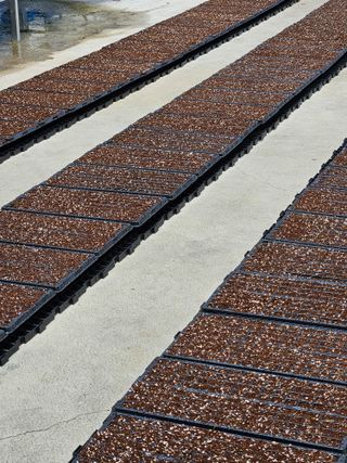 상열님의 상추 · 자유게시판 작성글 사진