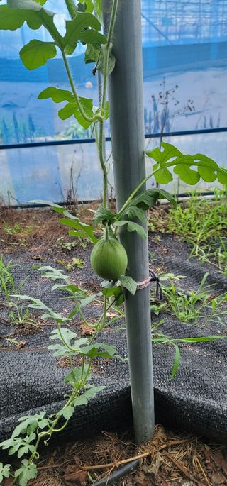 토리님의 자유주제 · 사진전 작성글 사진