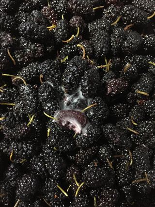 새뜸푸드(유연순)님의 작성글 사진