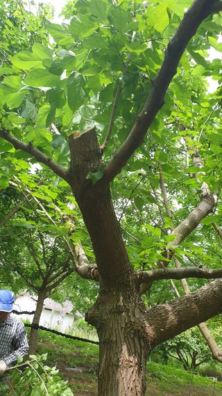 새뜸푸드(유연순)님의 작성글 사진