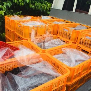 새뜸푸드(유연순)님의 작성글 사진