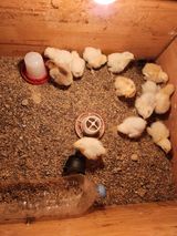 팜모닝 자유주제·자유게시판 게시글 이미지