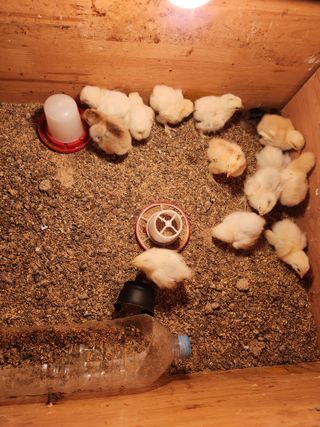 노아님의 자유주제 · 자유게시판 작성글 사진