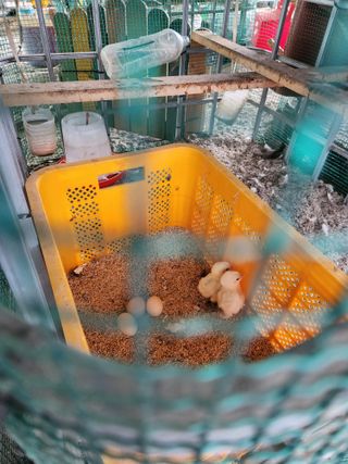 노아님의 자유주제 · 자유게시판 작성글 사진