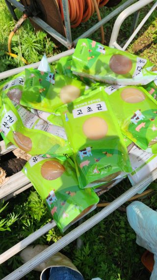 제부도그린농원님의 사과 · 품질 향상 작성글 사진