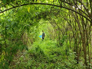 접골목 우슬9628님의 기타작물 · 자유게시판 작성글 사진