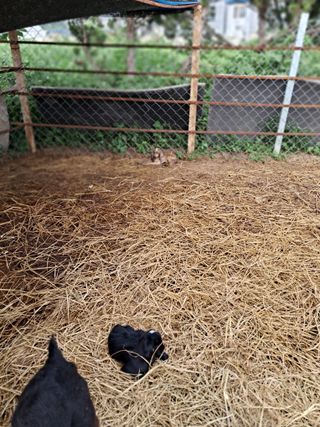 김석현님의 자유주제 · 자유게시판 작성글 사진