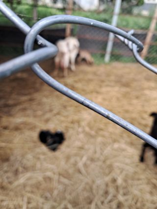 김석현님의 자유주제 · 자유게시판 작성글 사진