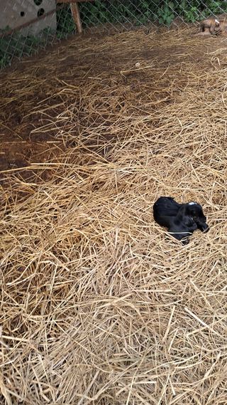 김석현님의 자유주제 · 자유게시판 작성글 사진