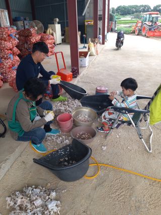 콩30455님의 벼 · 자유게시판 작성글 사진