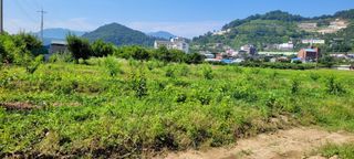 임종대님의 최고의 제초제는 무엇인가요? · 참여 작성글 사진