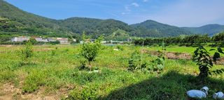 임종대님의 최고의 제초제는 무엇인가요? · 참여 작성글 사진