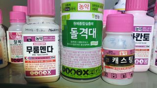 전명우님의 고추 · 영농일지 작성글 사진