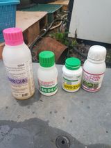 팜모닝 감·영농일지 게시글 이미지