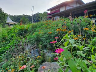 춘향농원.님의 최고의 제초제는 무엇인가요? · 참여 작성글 사진