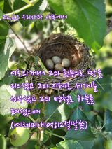 팜모닝 사과·일상 게시글 이미지