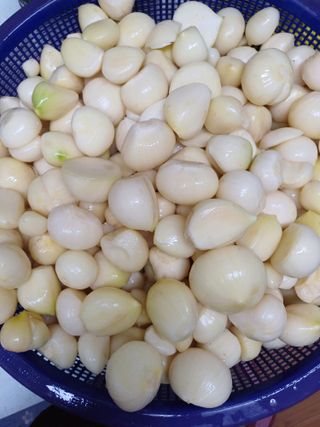 삼성농산님의 마늘 · 일상 작성글 사진