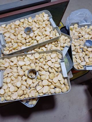 삼성농산님의 마늘 · 일상 작성글 사진