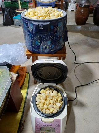 삼성농산님의 마늘 · 일상 작성글 사진