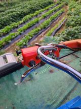 팜모닝 최고의 제초제는 무엇인가요?·참여 게시글 이미지